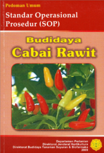 Budidaya Cabai Rawit