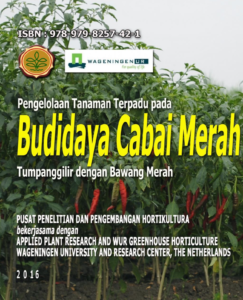 Budidaya Cabai Merah