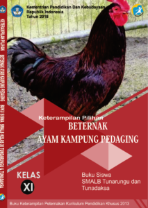 Berternak Ayam Kampung